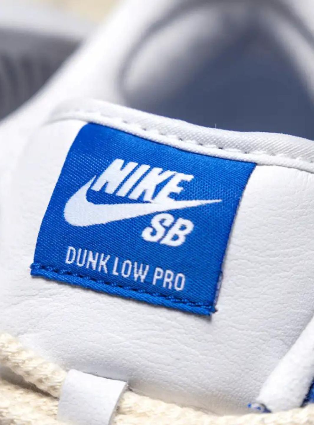 Nike SB Dunk Low Pro Fly Streetwear Gardenia
