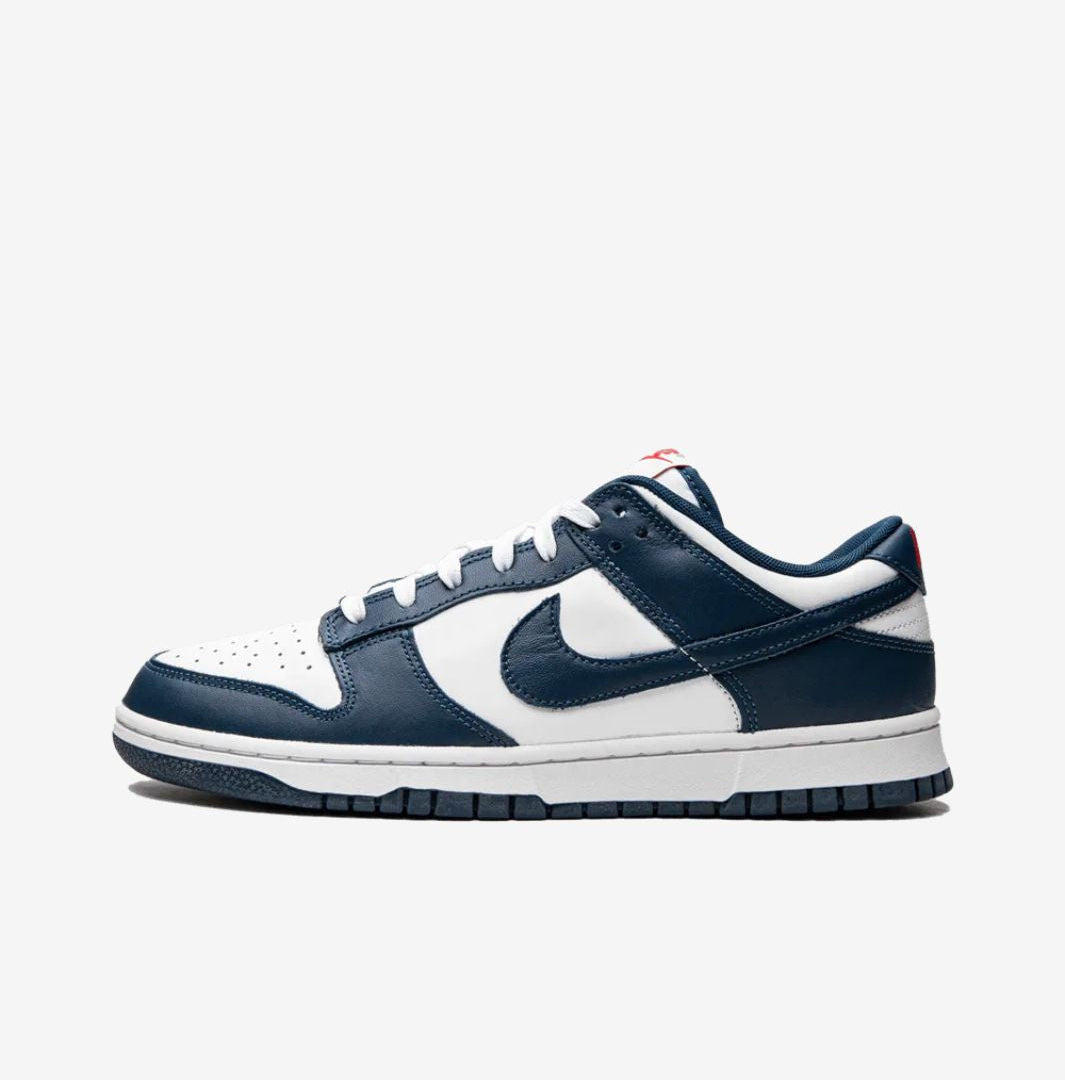 Nike Dunk Low Valerian Blue